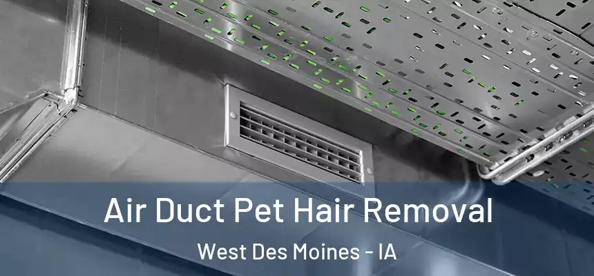  Air Duct Pet Hair Removal West Des Moines - IA