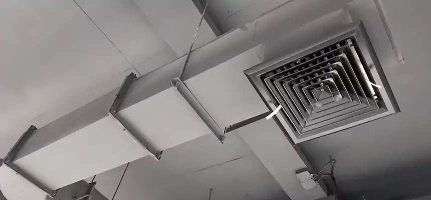 Our Pest Removal From Ducts Services in West Des Moines, IA