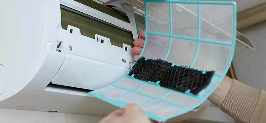 Gentle Ductwork Odor-Control Pet Dander Duct Cleaning in West Des Moines, IA