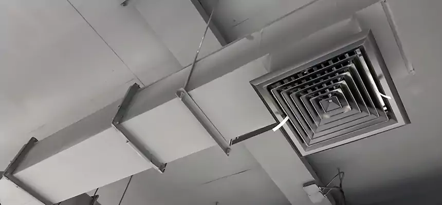 Our Rodent Droppings In Vents Services in West Des Moines, IA