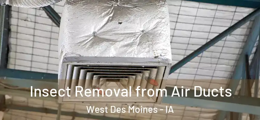  Insect Removal from Air Ducts West Des Moines - IA