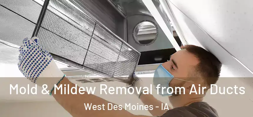  Mold & Mildew Removal from Air Ducts West Des Moines - IA