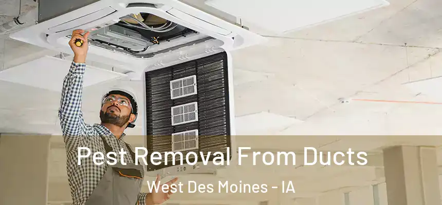  Pest Removal From Ducts West Des Moines - IA