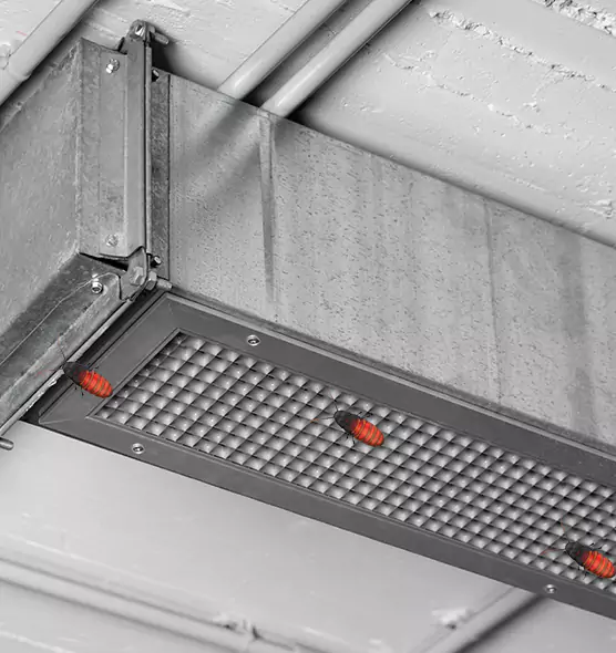 About Air Duct Cockroach Removal in West Des Moines, IA