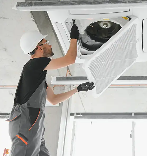 About Air Duct Rodent Removal in West Des Moines, IA